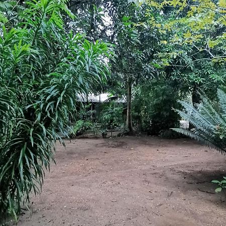 Sigiri Mango Garden Eco Resort Sigiriya Ngoại thất bức ảnh