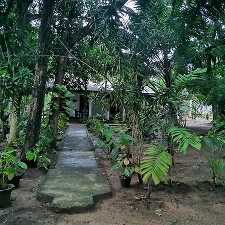 Sigiri Mango Garden Eco Resort Sigiriya Ngoại thất bức ảnh