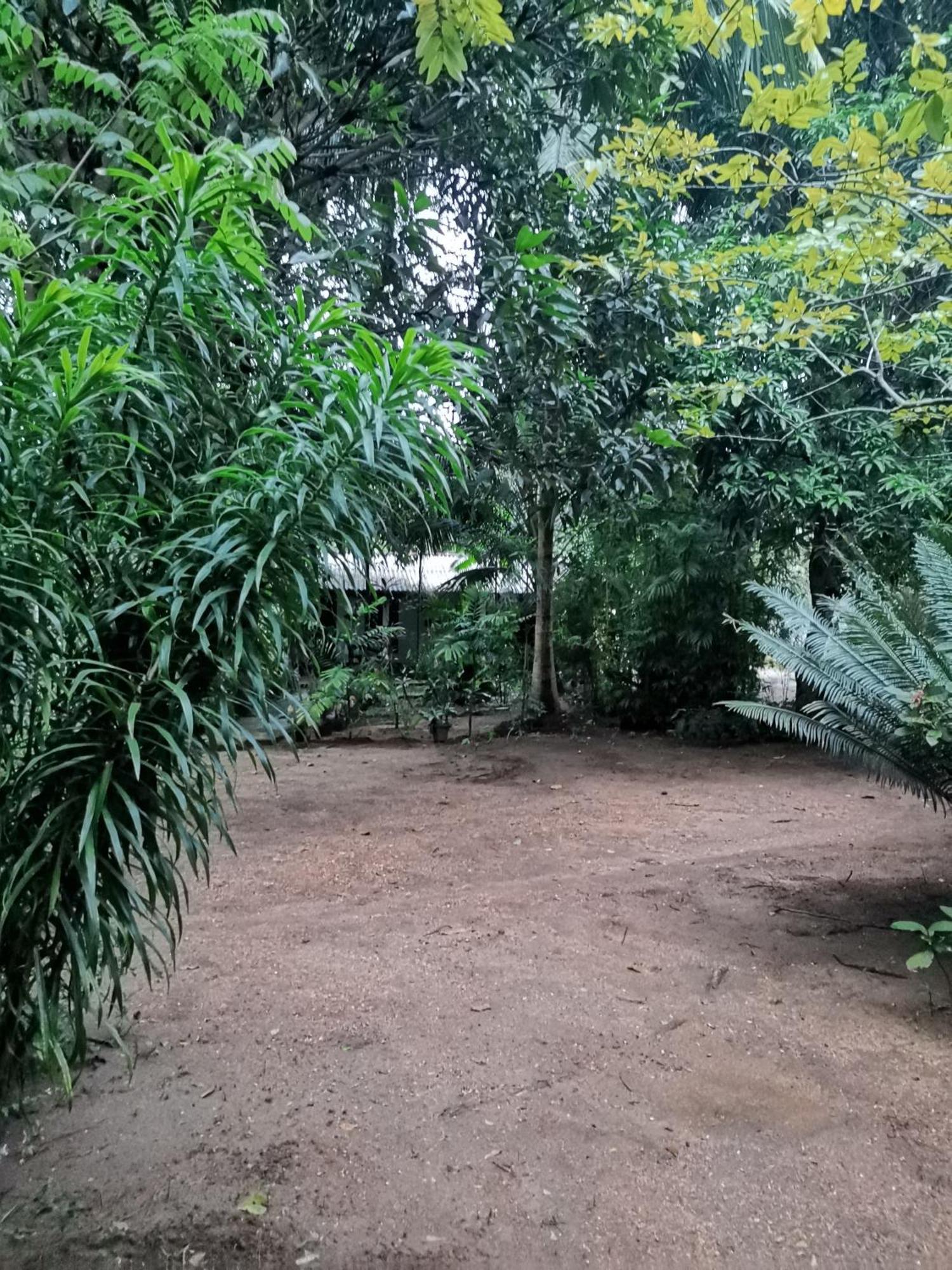 Sigiri Mango Garden Eco Resort Sigiriya Ngoại thất bức ảnh