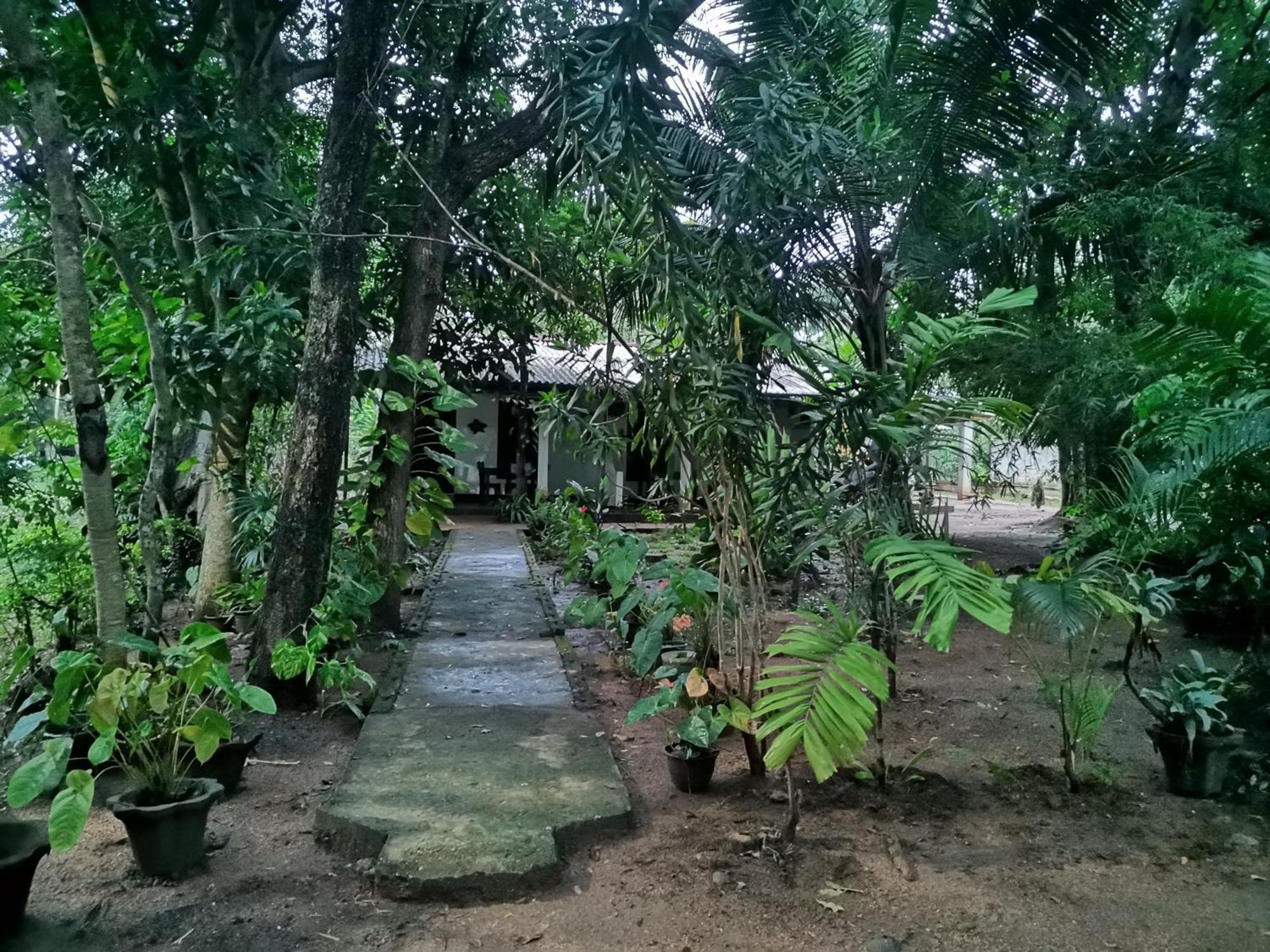 Sigiri Mango Garden Eco Resort Sigiriya Ngoại thất bức ảnh