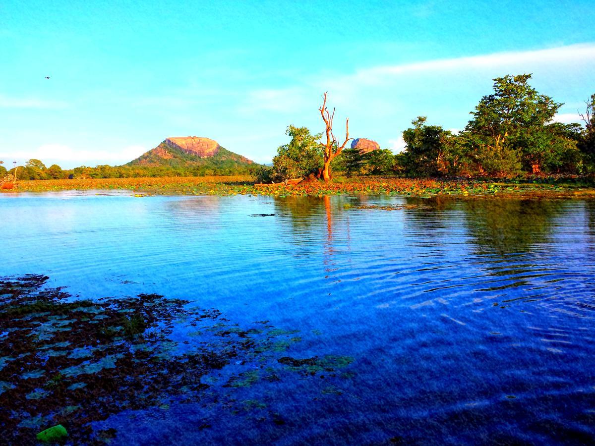 Sigiri Mango Garden Eco Resort Sigiriya Ngoại thất bức ảnh