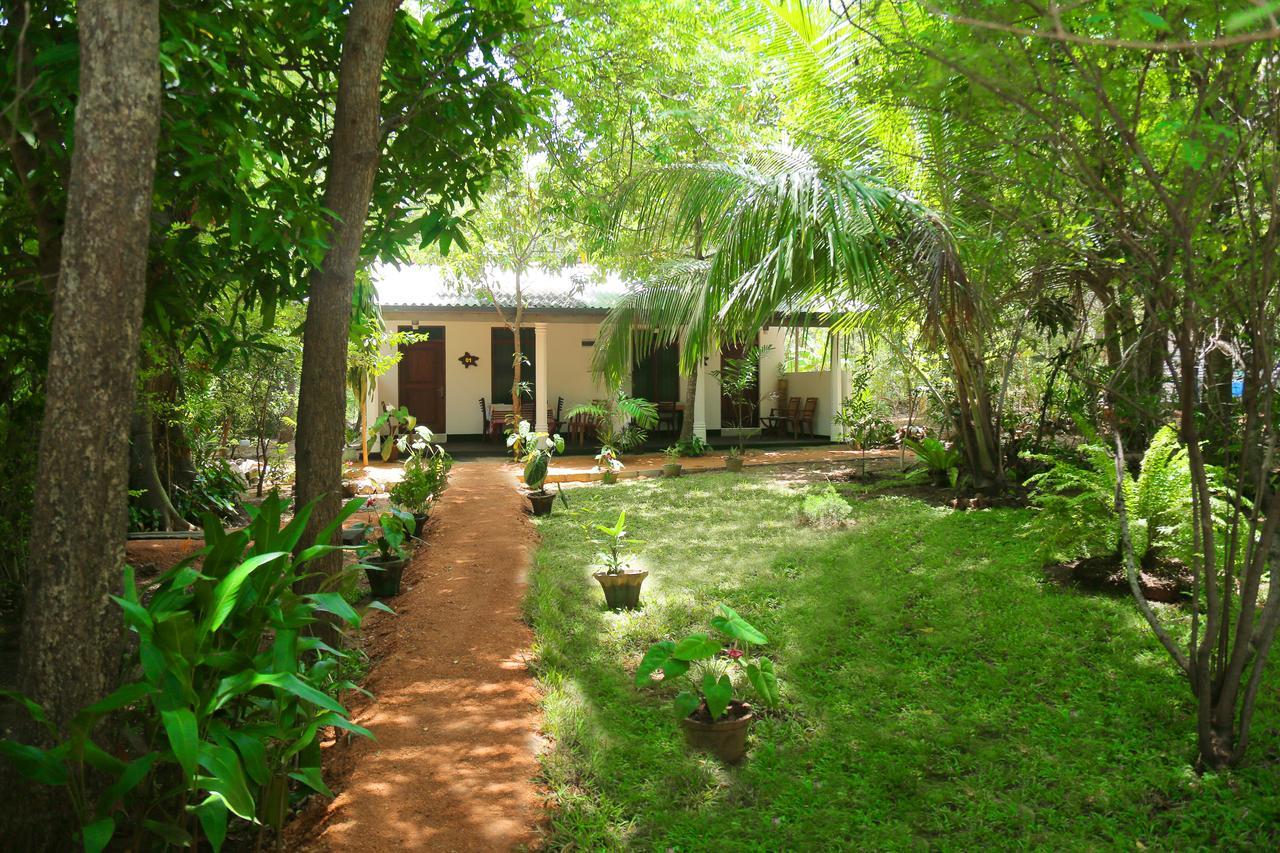 Sigiri Mango Garden Eco Resort Sigiriya Ngoại thất bức ảnh