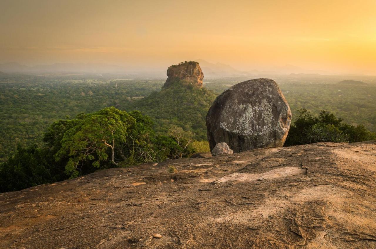 Sigiri Mango Garden Eco Resort Sigiriya Ngoại thất bức ảnh