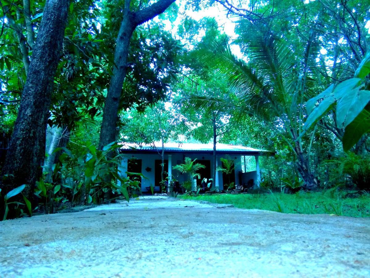 Sigiri Mango Garden Eco Resort Sigiriya Ngoại thất bức ảnh